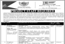 Abdul Wali Khan University jobs 2021