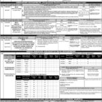 Management jobs in PPSC