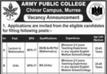 Army Public College Jobs 2021