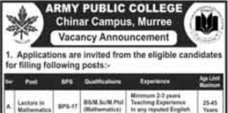 Army Public College Jobs 2021