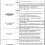 Balochistan Livelihood & Entrepreneurship Project Jobs 2021