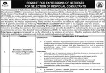 Balochistan Livelihood & Entrepreneurship Project Jobs 2021