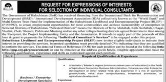 Balochistan Livelihood & Entrepreneurship Project Jobs 2021
