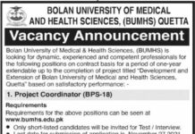 Project Coordinator Jobs 2021