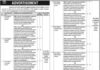 Teaching Hospital Dera Ghazi Khan Jobs