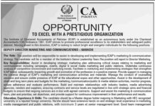 The Institute of Chartered Accountants Jobs