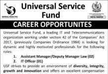 Universal Service Fund Jobs