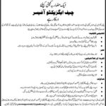 Chief Executive Officer Job