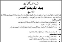 Chief Executive Officer Job