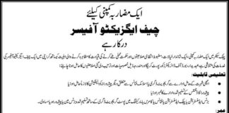 Chief Executive Officer Job