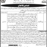 Chief Financial Officer Jobs 2021