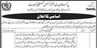 Chief Financial Officer Jobs 2021