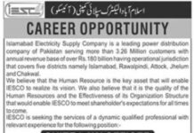 Chief Law Officer Job 2021