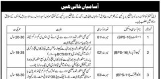 Deputy Commissioner Office Jobs