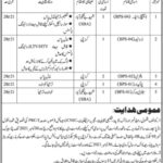 Directorate of Human Rights Jobs 2021