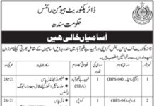 Directorate of Human Rights Jobs 2021