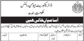 Directorate of Human Rights Jobs 2021
