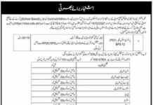Swabi Teaching Jobs Via ETEA