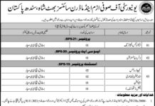 University of Sufism and Modern Sciences Jobs 2021