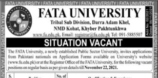Fata University Jobs 2021