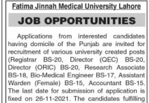 Fatima Jinnah Medical University Jobs 2021