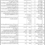 Government Sector Organization Jobs 2021