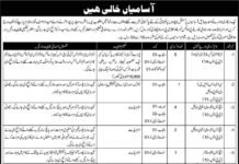 Government Sector Organization Jobs 2021
