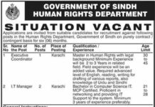 Human Rights Department Sindh Jobs 2021