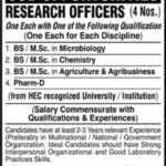 International Center HEJ Jobs 2021