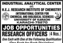 International Center HEJ Jobs 2021