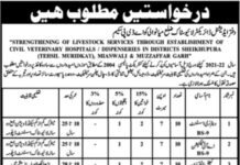 Job Opportunities at livestock Civil Veterinary Hospitals and Dispenseries