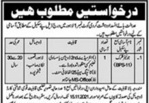 Jobs in Anti Terrorism Lahore