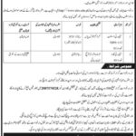KPK University Jobs 2021`