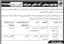 KPK University Jobs 2021`