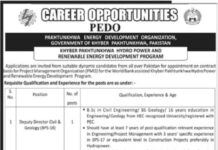 Management Jobs in PEDO