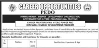 Management Jobs in PEDO