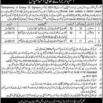 Management Jobs in Social Welfare