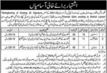 Management Jobs in Social Welfare