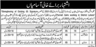 Management Jobs in Social Welfare