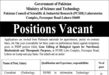 Ministry of Science and Technology jobs 2021