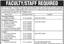 NFC Institute of Engineering and Technology jobs 2021