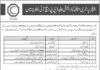 PPHI Balochistan Jobs 2021