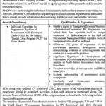 Punjab Cities Program Jobs 2021