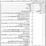 Punjab Higher Education Department Teaching Jobs 2021