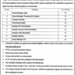 Punjab Power Development Company Limited Jobs 2021