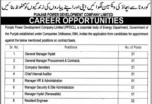 Punjab Power Development Company Limited Jobs 2021