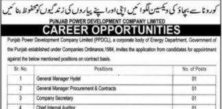 Punjab Power Development Company Limited Jobs 2021