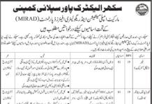 Sukkur SEPCO Jobs 2021
