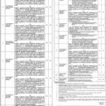 Sheikh Zayed Medical Jobs 2021