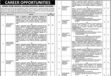 Sheikh Zayed Medical Jobs 2021